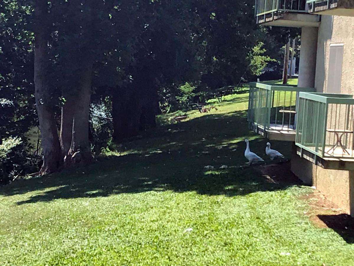 The River Cottage Pigeon Forge Bagian luar foto